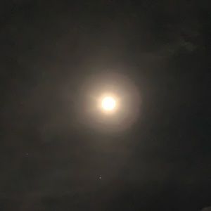 Meet your Posher, Cj